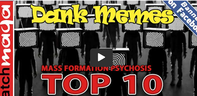 TOP 10 MEMES: Mass Formation Psychosis – Watch MAGA - Whatfinger News' Choice Clips