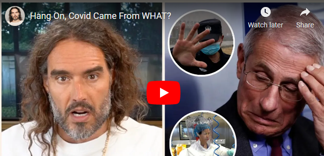 Russel Brand – Hang On, Covid Came From WHAT? - Whatfinger News' Choice Clips
